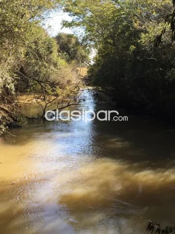 134 has. en Tavapy – Alto Parana, foto 3