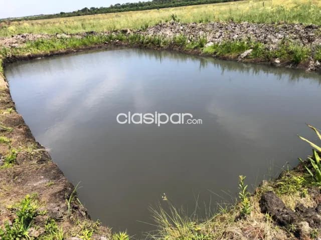134 has. en Tavapy – Alto Parana, foto 4