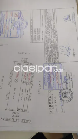 Alto paraná, santa rita, cedrales: 21 has, s/ asfalto, 35.000 usd/ha — foto 2