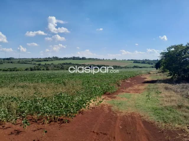 Terreno Agrícola Mecanizado sobre Ruta en Mayor Otaño - 20 Ha, foto 2
