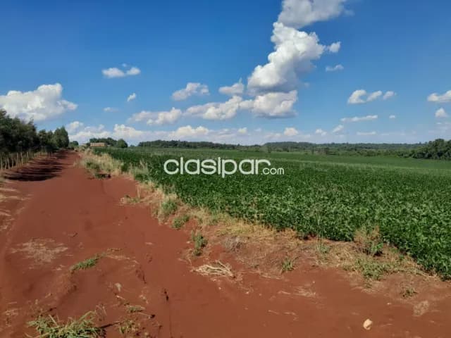 Terreno Agrícola Mecanizado sobre Ruta en Mayor Otaño - 20 Ha, foto 3