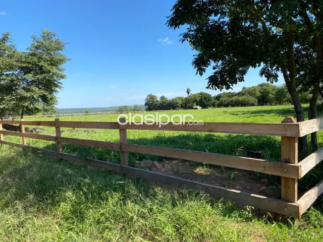 Campo Agrícola/Ganadero en Coronel Oviedo - 628 Ha, foto 4