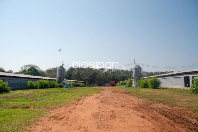 Granja Avícola en Arroyos y Esteros - 26 Ha