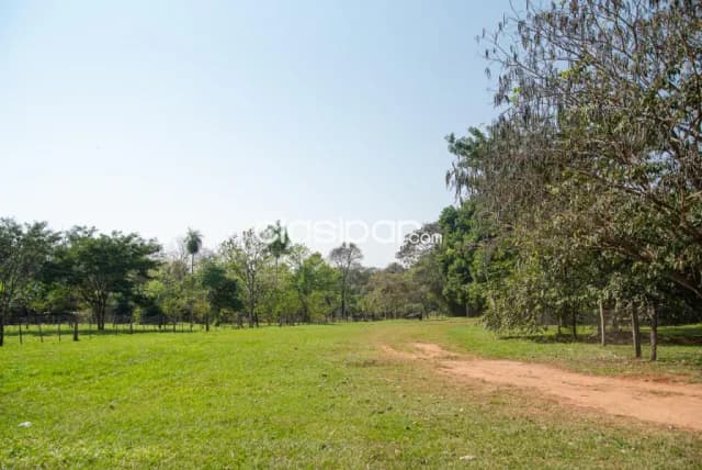 Granja Avícola en Arroyos y Esteros - 26 Ha — foto 3