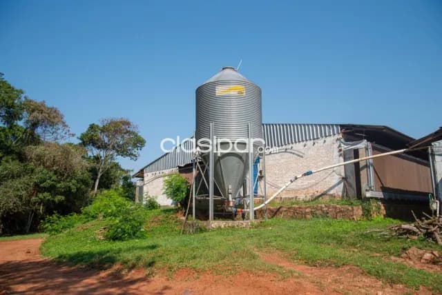 Granja Avícola en Arroyos y Esteros - 26 Ha — foto 4