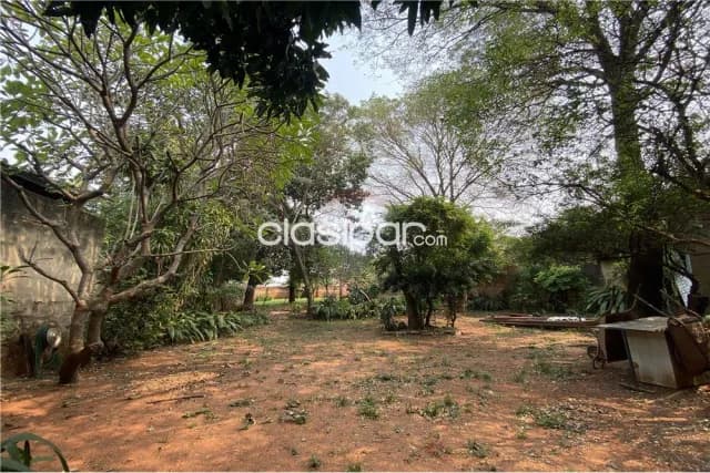 AMPLIO TERRENO en ZONA BRUNO GUGGIARI 270,000 USD Paraguay Asunción Vista Alegre Caaza, foto 4