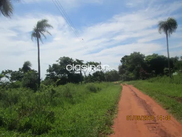 16 hectáreas en Capitan Bado granja en funcionamiento oferta por este mes — foto 2