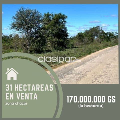 Chacoí: 31 has, p/ loteamientos, emprendimientos inmobiliarios, barrios cerrados, etc, foto 1