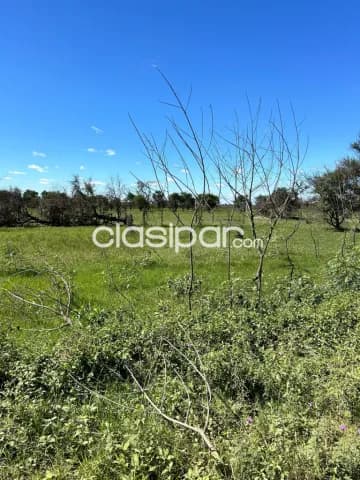 Chacoí, falcon: 58 has, prox. Asfalto ideal p/ loteamientos, desarrollos inmob, depósitos, foto 3