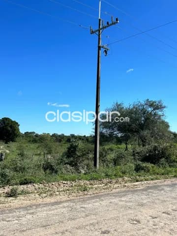 Chacoí, falcon: 58 has, prox. Asfalto ideal p/ loteamientos, desarrollos inmob, depósitos, foto 5