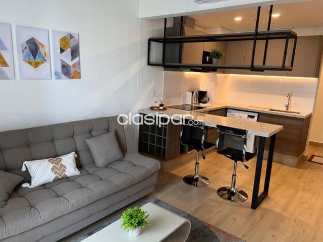 departamento de 1 dormitorio amoblado en barrio manora