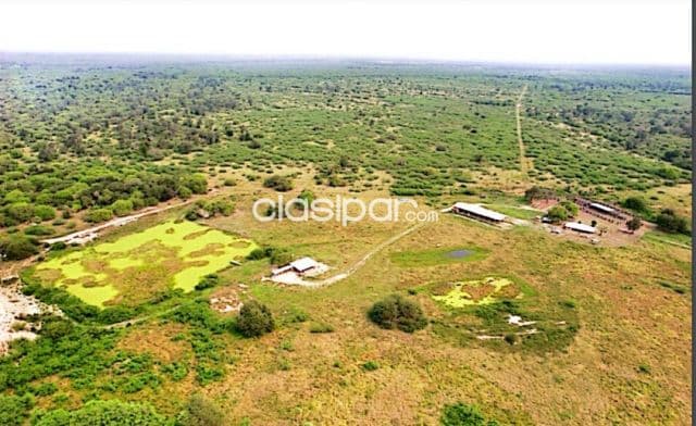 Estancia de 3.150 Hectáreas en Pozo Colorado - CLCS6606630