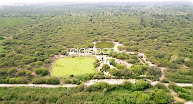 Estancia de 3.150 Hectáreas en Pozo Colorado - CLCS6606630 — foto 4