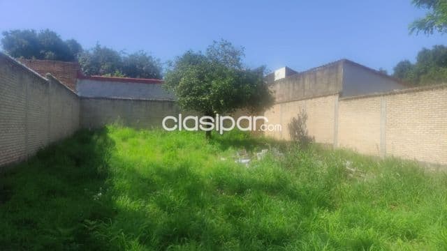 Terreno en lambare zona cacique cod 4046