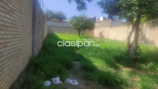 Terreno en lambare zona cacique cod 4046 — foto 3