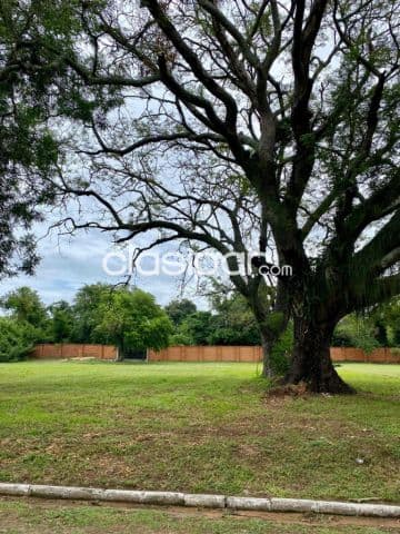 Hermoso Terreno de 1.000 m2 en San Bernardino - CLLA6611800, foto 1
