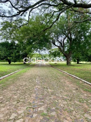 Hermoso Terreno de 1.000 m2 en San Bernardino - CLLA6611800, foto 4