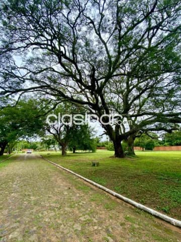Hermoso Terreno de 1.000 m2 en San Bernardino - CLLA6611800, foto 5