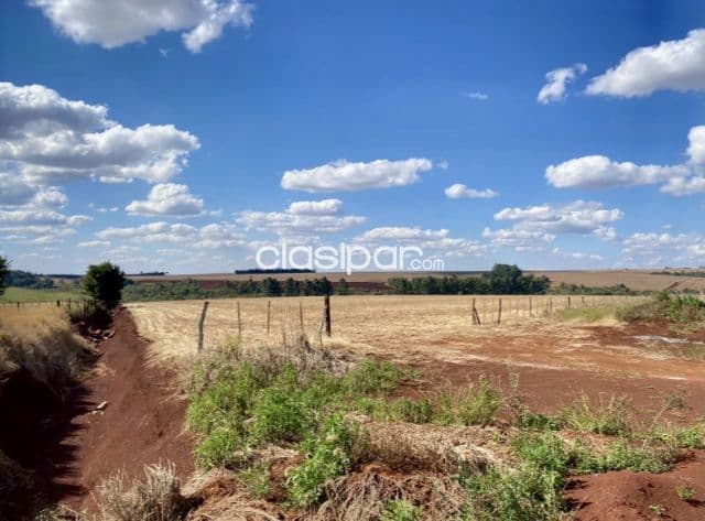 Campo Agrícola Mecanizado en San Rafael del Paraná sobre Ruta - 406 Ha