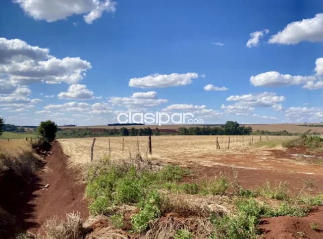 Campo Agrícola Mecanizado en San Rafael del Paraná sobre Ruta - 406 Ha, foto 2