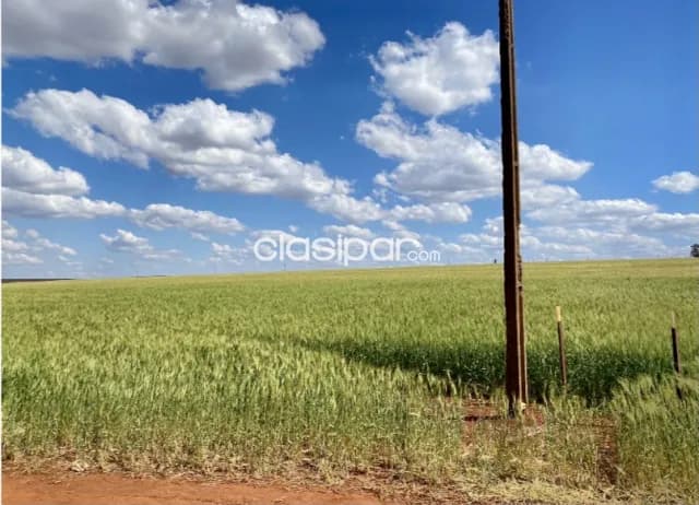 Campo Agrícola Mecanizado en San Rafael del Paraná sobre Ruta - 406 Ha, foto 3