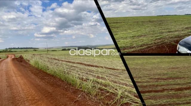 Campo Agrícola Mecanizado en San Rafael del Paraná sobre Ruta - 406 Ha, foto 5