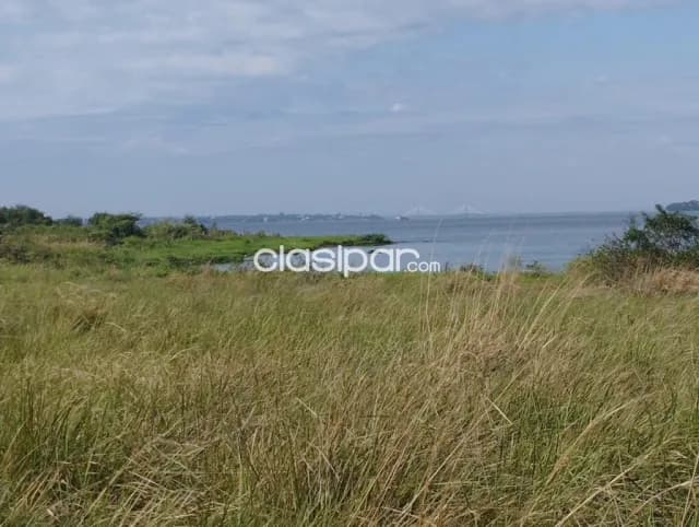 Terreno Rural en San Juan del Paraná costa al Río Paraná - 13 Ha, foto 5