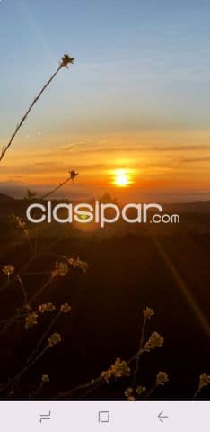 superterreno en San Bernardino casi 3 juntos o separado, aproveche por este mes
