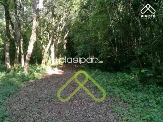 Campo de 8 hectareas, con arroyo, monte y mecanizada!!, foto 4
