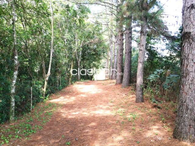 Quinta de 5,5 hectareas con arroyo y mucho mas!!, foto 1