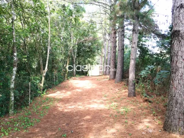 Quinta de 5,5 hectareas con arroyo y mucho mas!!, foto 2