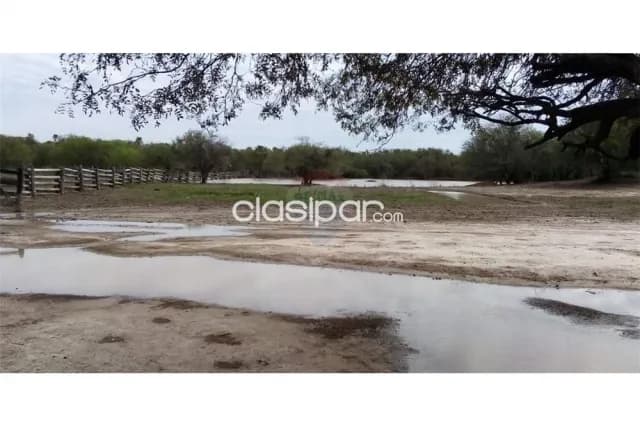 Campo en fortin florida / bahia negra, foto 3