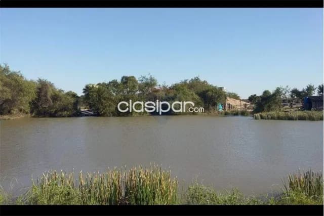 Campo en fortin florida / bahia negra, foto 5