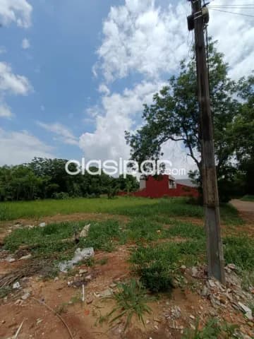 3 Terrenos Juntos en Luque, Laurelty - LLA6630820, foto 5
