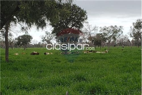 Estancia en boqueron, foto 1