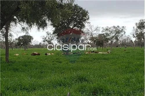 Estancia en boqueron, foto 2