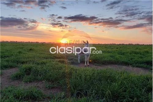 Estancia en boqueron, foto 3