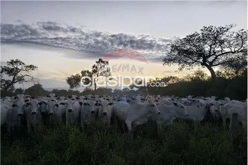 Estancia en boqueron, foto 4
