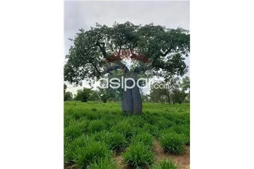 Estancia en boqueron, foto 5