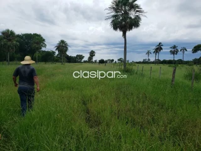 Benjamín aceval, pdte. Hayes: 56 has, c/ costa s/ r. Confuso, infraestructura p/ ganadería — foto 5