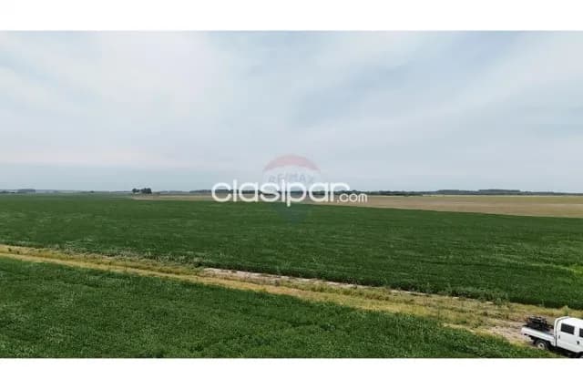 Campo de alta produccion en yuty caazapa, foto 3