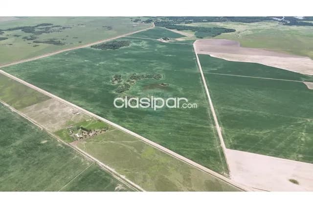 Campo de alta produccion en yuty caazapa, foto 4