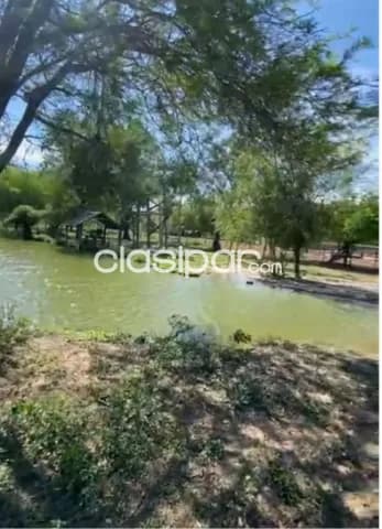 Villa hayes (km193, monte lindo, rio negro): 1.200 has modelo, totalmente formada, foto 3