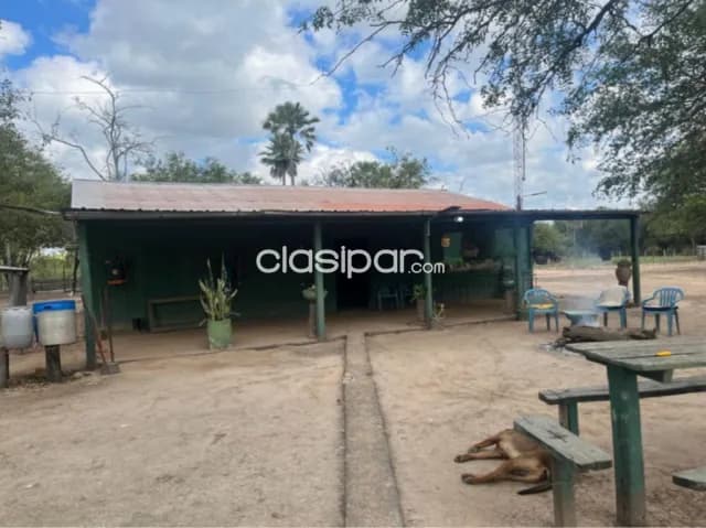 Villa hayes (km193, monte lindo, rio negro): 1.200 has modelo, totalmente formada, foto 4