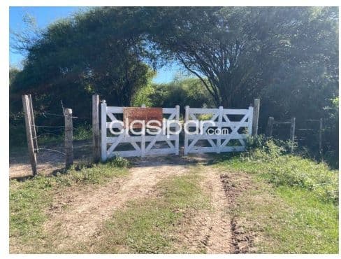 Benjamín aceval, rio confuso: 34 has, granja modelo en funcionamiento totalmente equipada