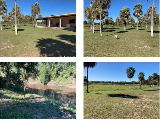 Benjamín aceval, rio confuso: 34 has, granja modelo en funcionamiento totalmente equipada, foto 3