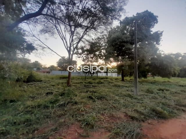 Terreno en Luque zona boulevard cod 4329