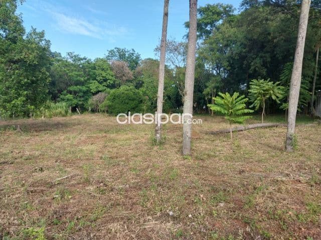 REGALO 5 terrenos en uno (35,5×50 mts) detrás del Supermercado CACIQUE areguá