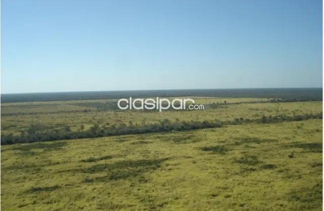 Campo de 3.904 Hectáreas en Fuerte Olimpo, Alto Paraguay - CLCS6637780, foto 2