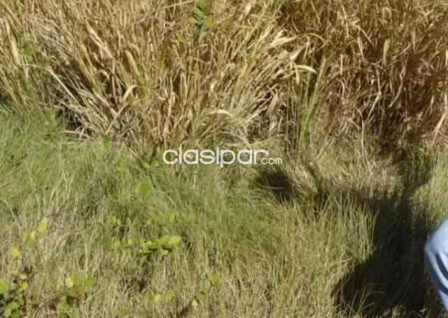 Campo de 3.904 Hectáreas en Fuerte Olimpo, Alto Paraguay - CLCS6637780, foto 3